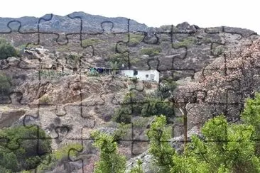 Aguaje Vargas