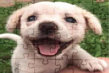 פאזל של Felicidad