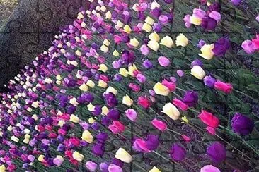 flores jigsaw puzzle