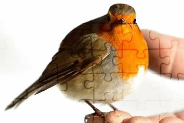 natural jigsaw puzzle