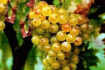 natural jigsaw puzzle