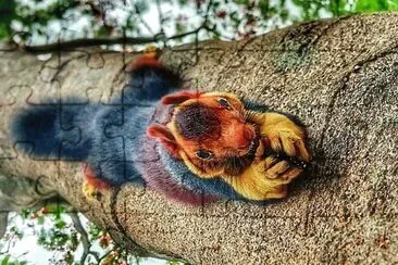 natural jigsaw puzzle