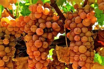 natural jigsaw puzzle