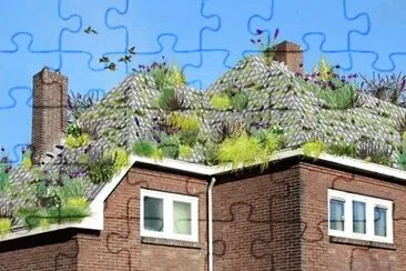 natural jigsaw puzzle