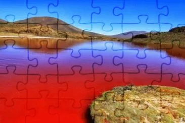 Chile 67 jigsaw puzzle