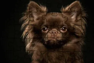 choclate chi jigsaw puzzle