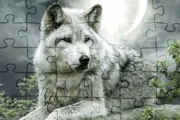 פאזל של white wolf