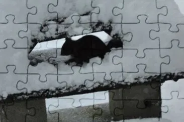 ecureuil dans la neige