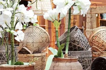 natural jigsaw puzzle