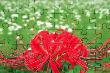 flores jigsaw puzzle