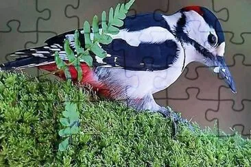 natural jigsaw puzzle