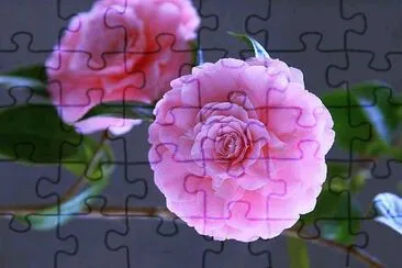flores jigsaw puzzle