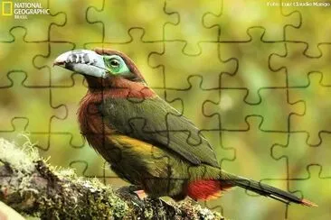 natural jigsaw puzzle