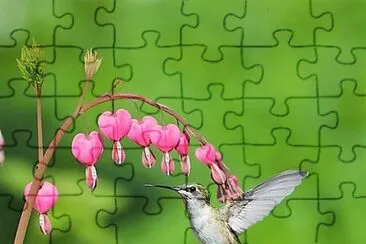 natural jigsaw puzzle