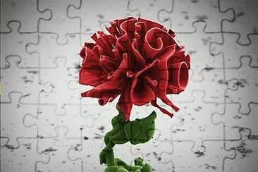 flores jigsaw puzzle