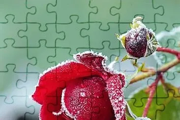flores jigsaw puzzle