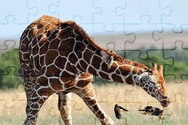 natural jigsaw puzzle