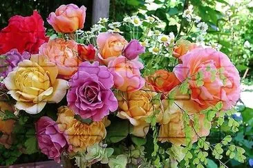 flores jigsaw puzzle