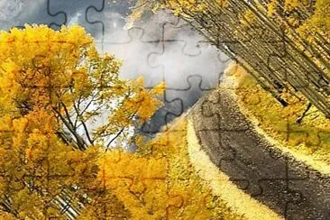 flores jigsaw puzzle