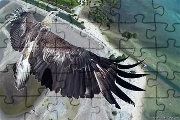 natural jigsaw puzzle