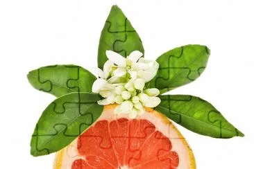 frutas jigsaw puzzle