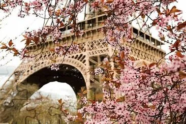 flores jigsaw puzzle