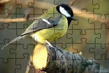 mÃ©sange jigsaw puzzle