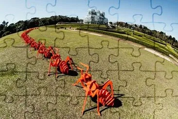 arte jigsaw puzzle