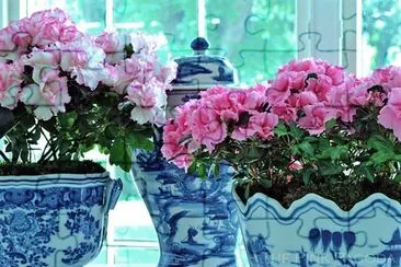 flores jigsaw puzzle