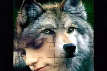 Spirit 2