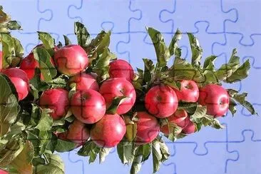 natural jigsaw puzzle