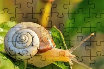 natural jigsaw puzzle