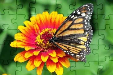 flo jigsaw puzzle