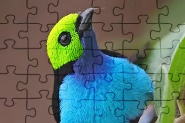 natural jigsaw puzzle