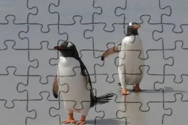 Pinguins jigsaw puzzle