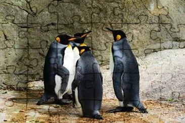 Pinguins jigsaw puzzle