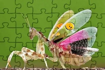 natural jigsaw puzzle