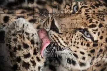natural jigsaw puzzle