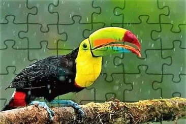 natural jigsaw puzzle