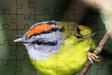 natural jigsaw puzzle
