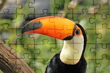 פאזל של natural