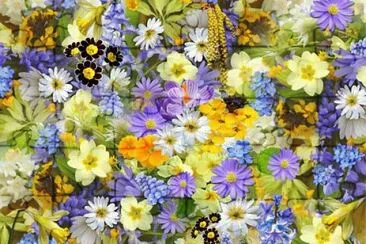 פאזל של Spring