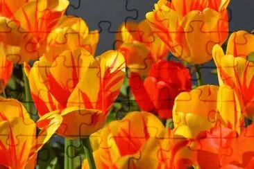 aroma jigsaw puzzle