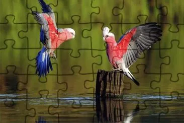 æ„› jigsaw puzzle