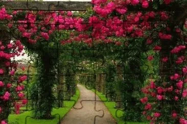 imagem jigsaw puzzle