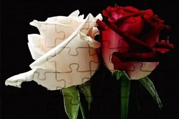 ç°¡åœ– jigsaw puzzle