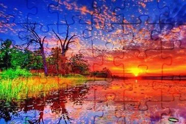 Amazing jigsaw puzzle