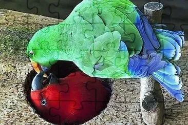 natural jigsaw puzzle