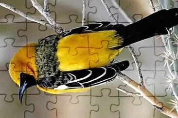 natural jigsaw puzzle