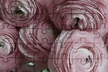 flores jigsaw puzzle